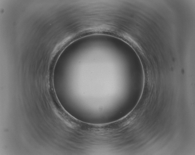 X0000069360486200605192102