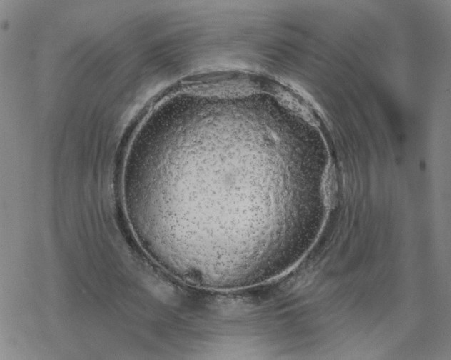 X0000069360487200605192102