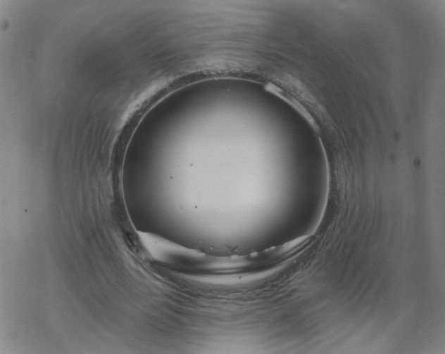 X0000069360488200605192102