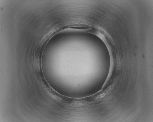 X0000069360489200605192102