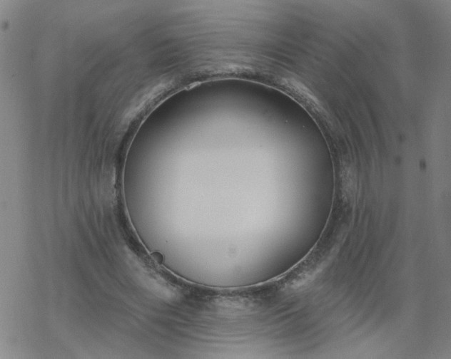 X0000069360490200605192102