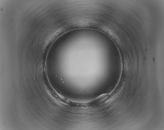 X0000069360493200605192102