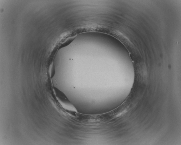 X0000069360496200605192102