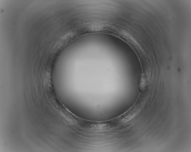 X0000069360497200605192102