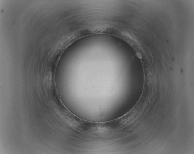 X0000069360498200605192102