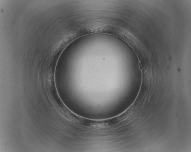 X0000069360499200605192102