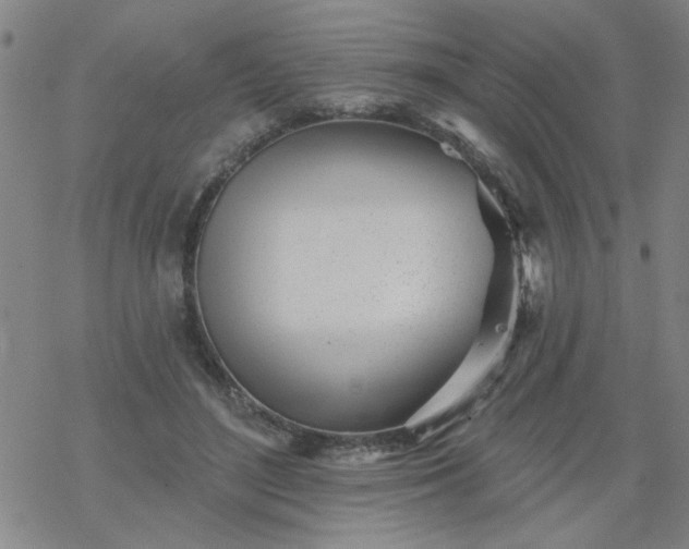 X0000069360500200605192102