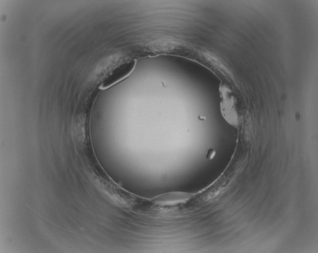 X0000069360501200605192102