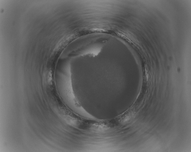 X0000069360502200605192102