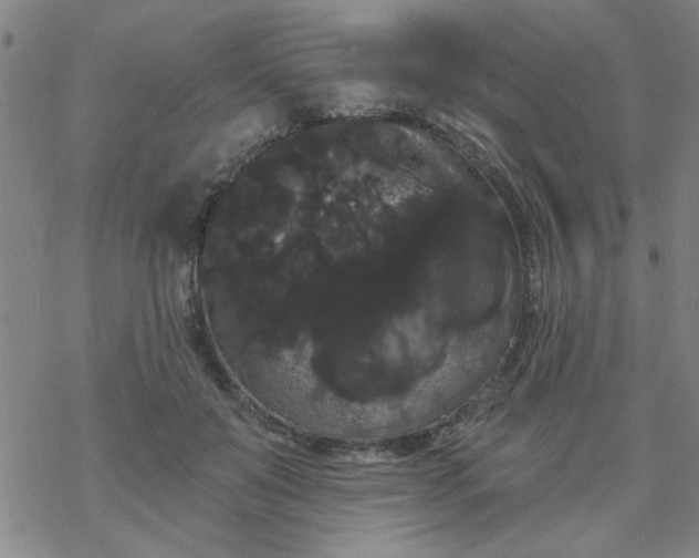 X0000069360503200605192102