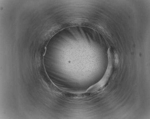 X0000069360504200605192101