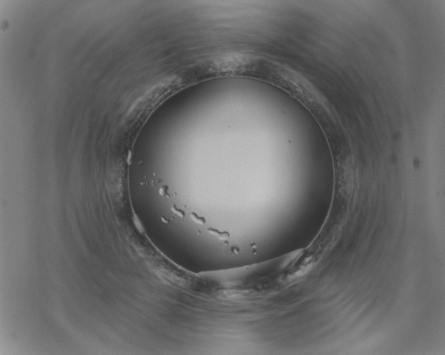 X0000069360505200605192101