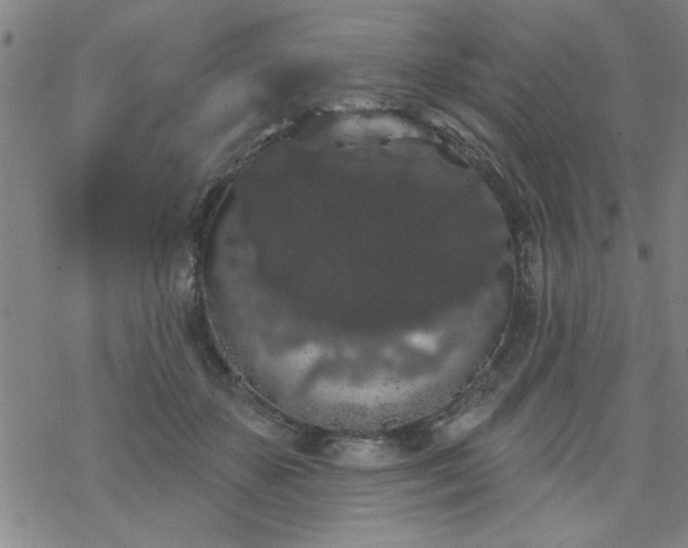 X0000069360507200605192101