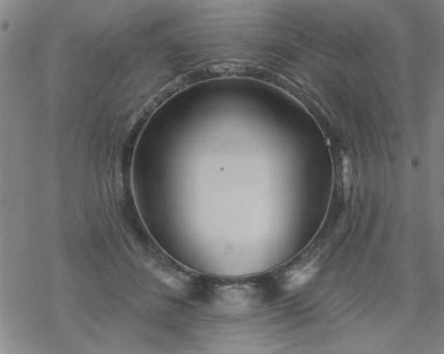 X0000069360508200605192101