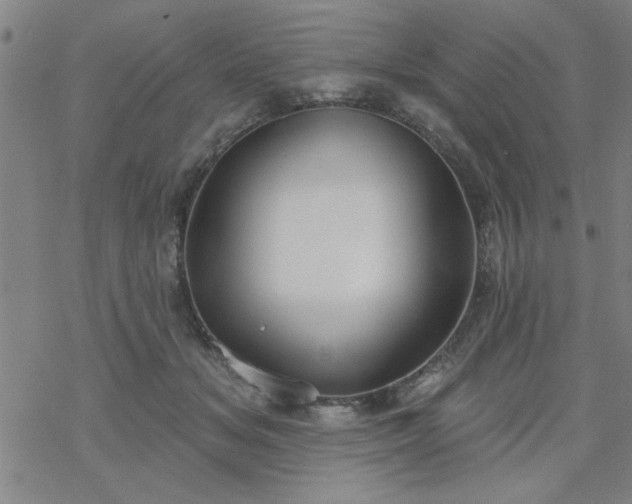 X0000069360509200605192101