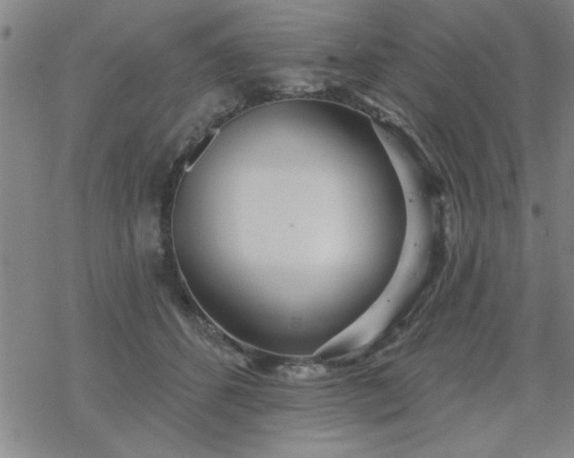 X0000069360512200605192101