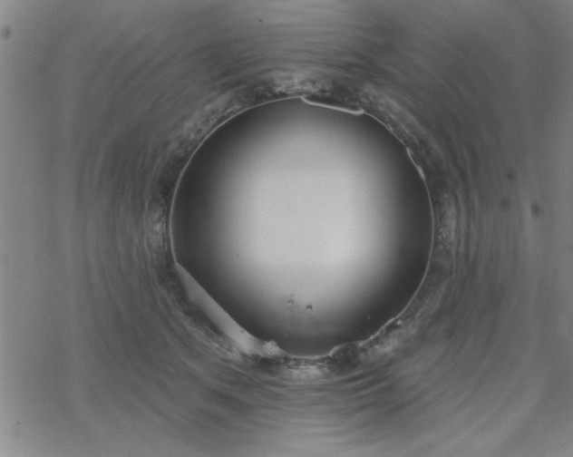 X0000069360513200605192101