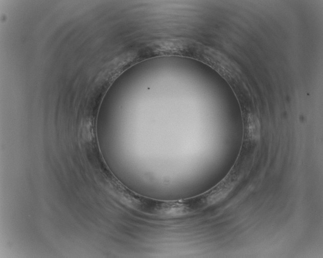 X0000069360514200605192101