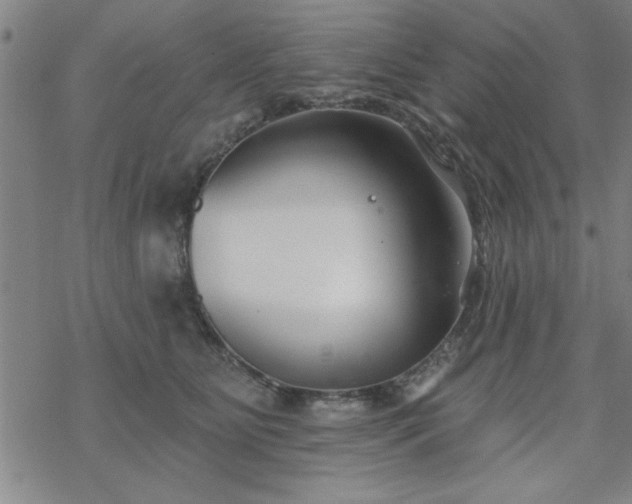 X0000069360515200605192101