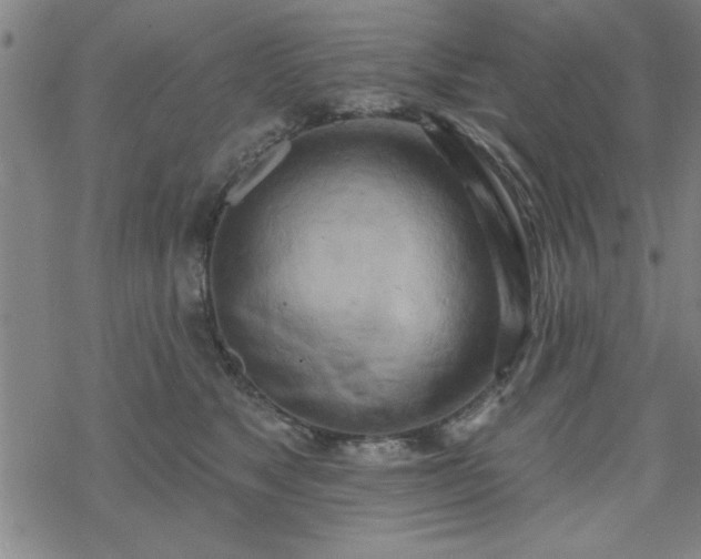 X0000069360517200605192101