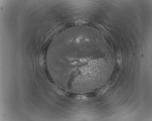 X0000069360519200605192101