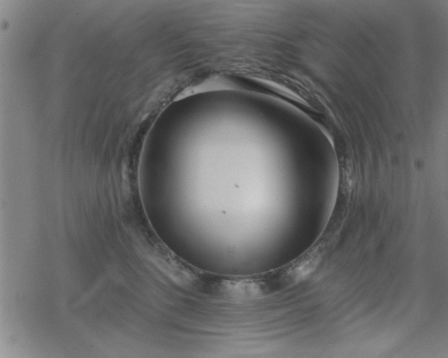 X0000069360520200605192101