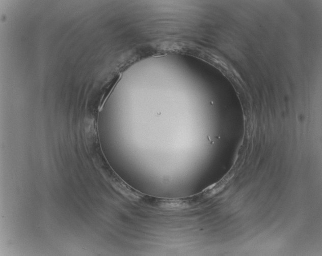 X0000069360521200605192101