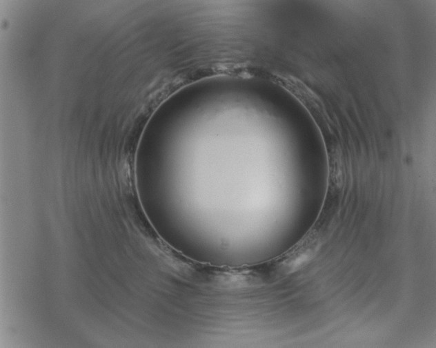 X0000069360523200605192101