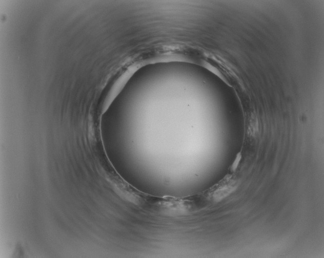 X0000069360524200605192101