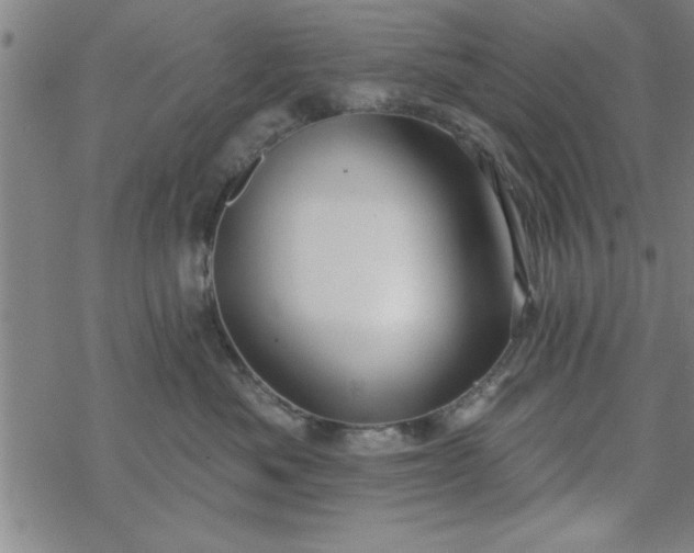 X0000069360525200605192101