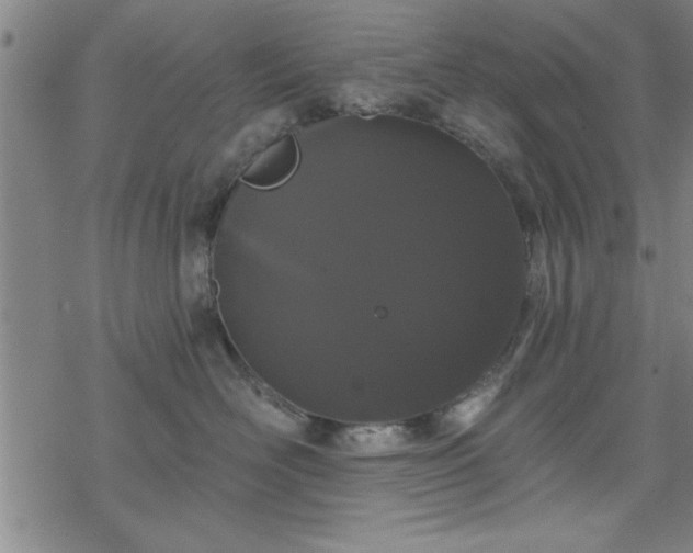 X0000069360526200605192101