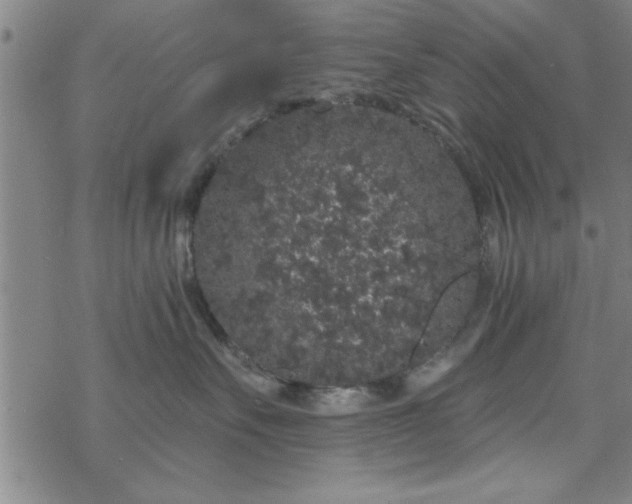 X0000069360527200605192101