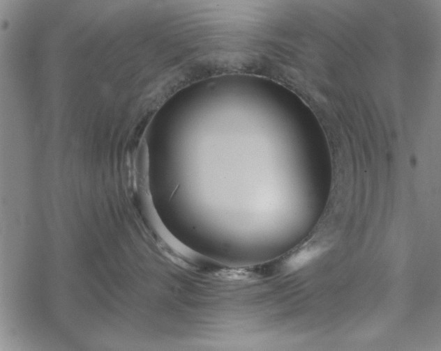 X0000069360528200605192101