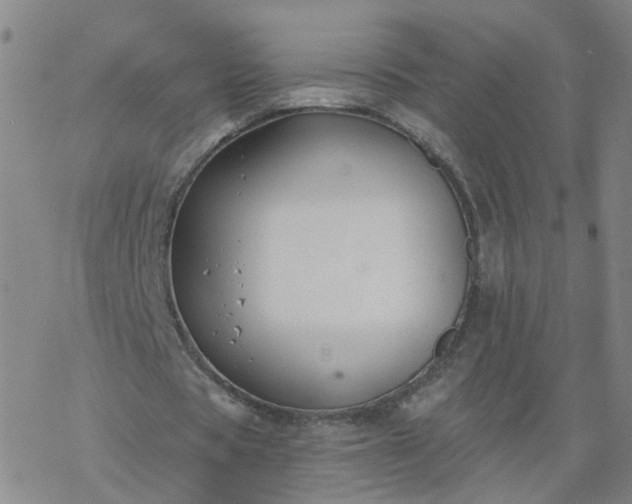 X0000069360529200605192100