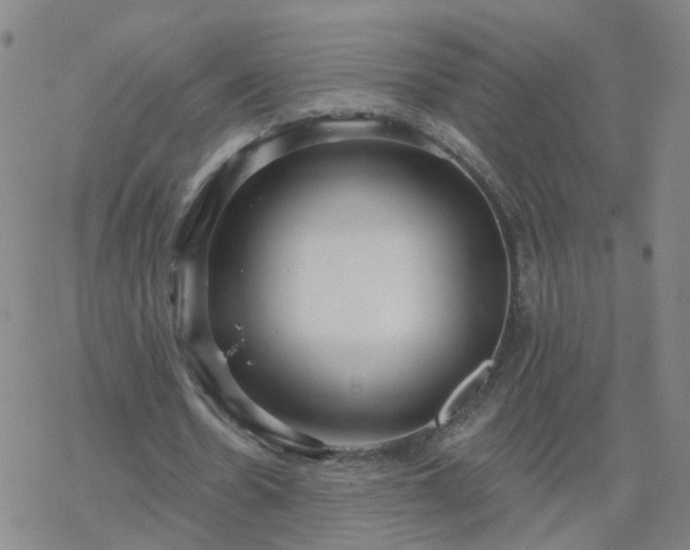 X0000069360530200605192100