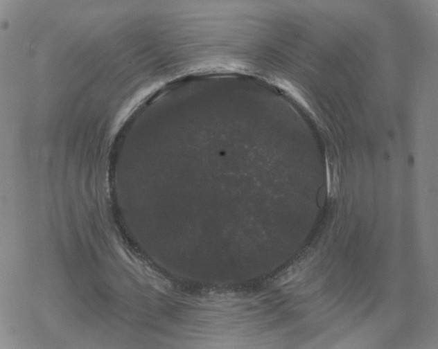 X0000069360531200605192100