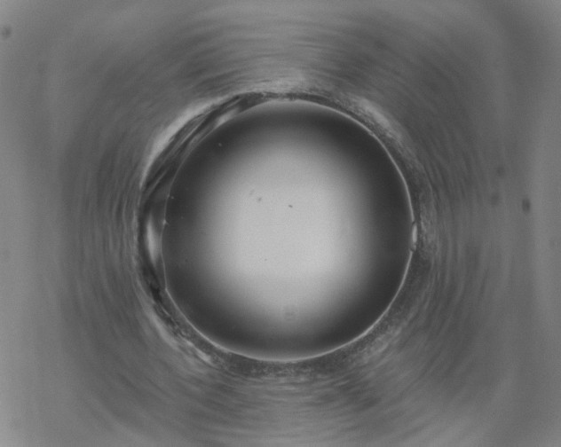 X0000069360532200605192100