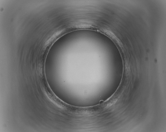 X0000069360533200605192100