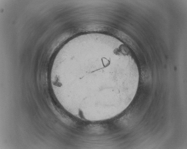 X0000069360534200605192100