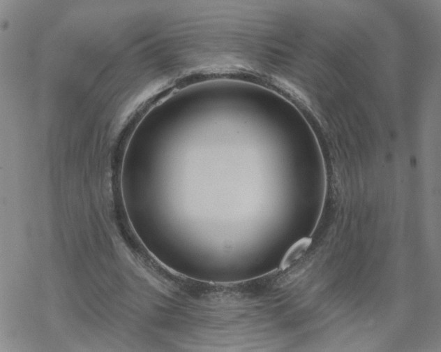 X0000069360535200605192100