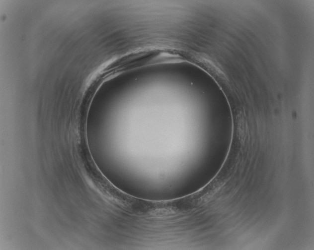 X0000069360536200605192100