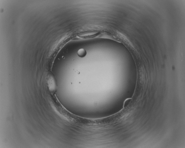 X0000069360538200605192100