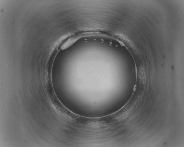 X0000069360540200605192100