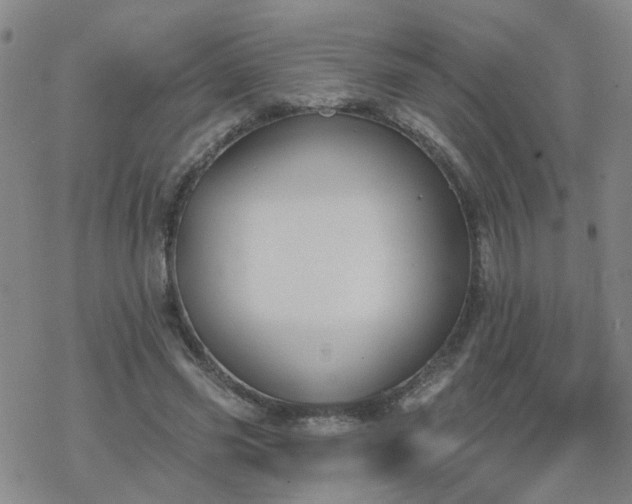 X0000069360541200605192101