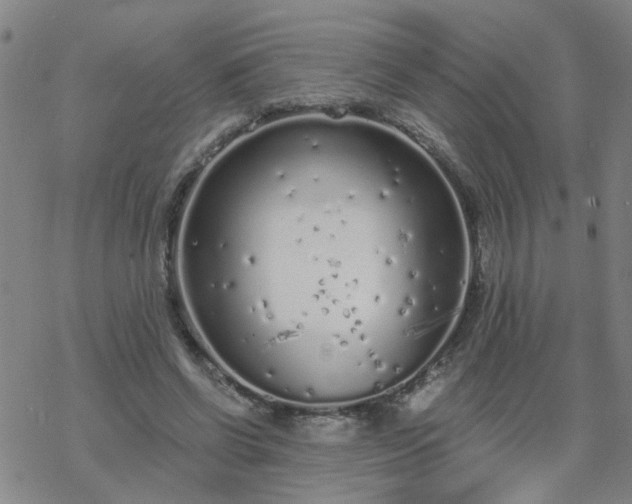 X0000069360542200605192101