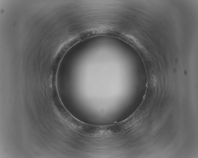 X0000069360543200605192101