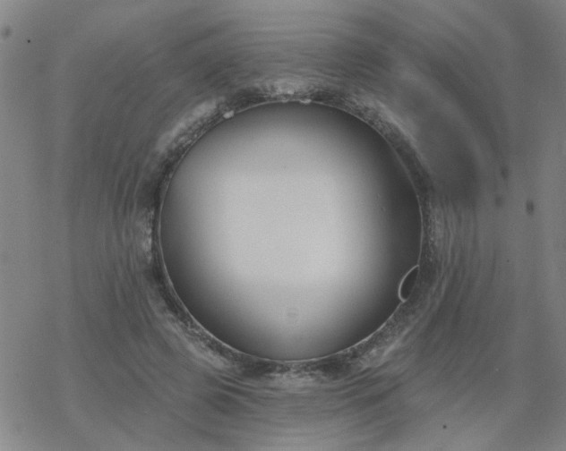 X0000069360545200605192101