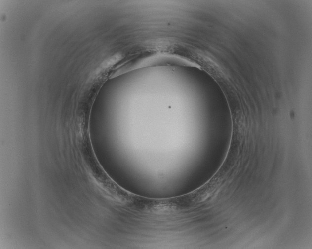 X0000069360546200605192101