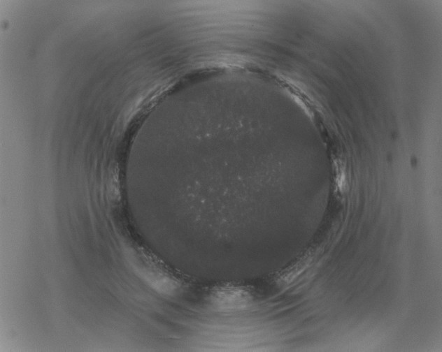 X0000069360547200605192101