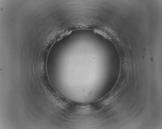 X0000069360548200605192101